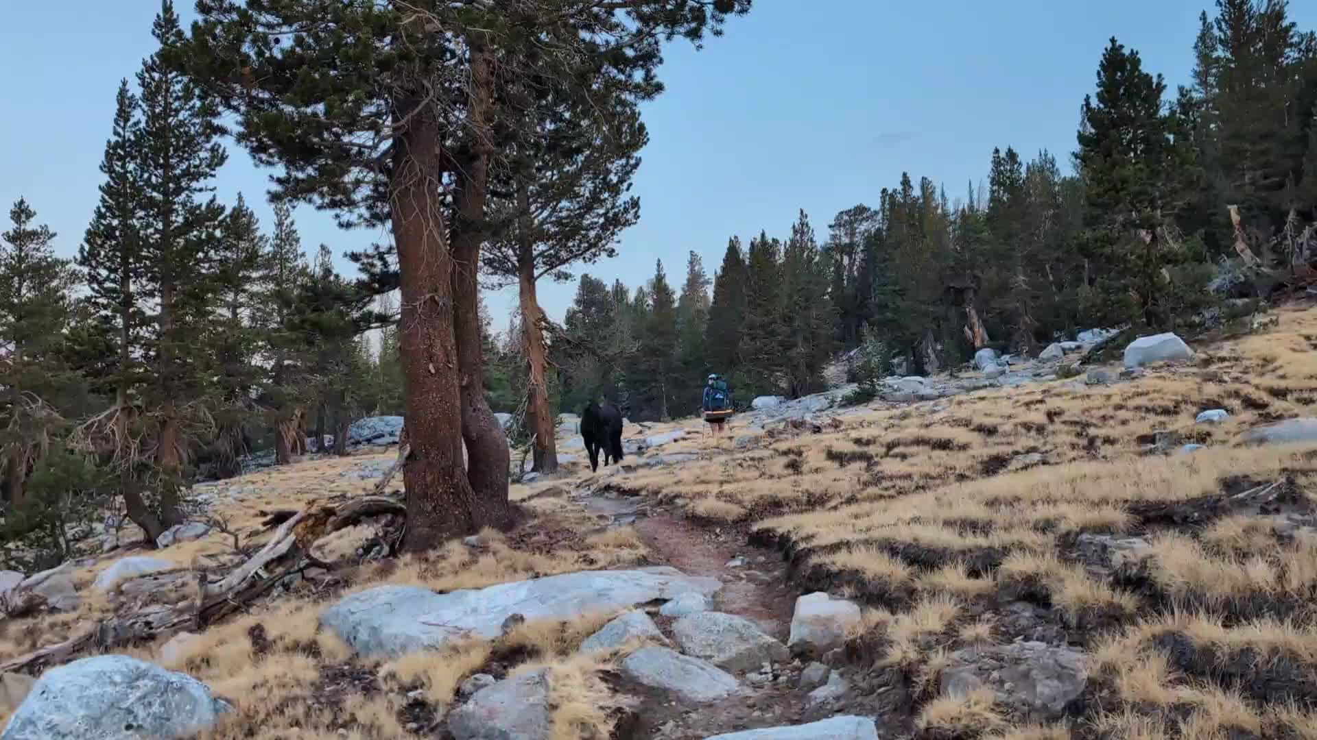 JMT - Day 13 photo 4