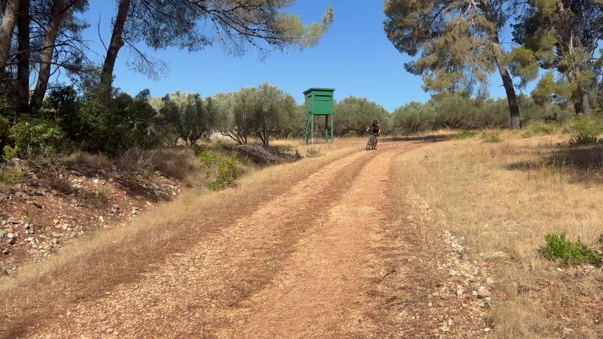 Ride Image 13