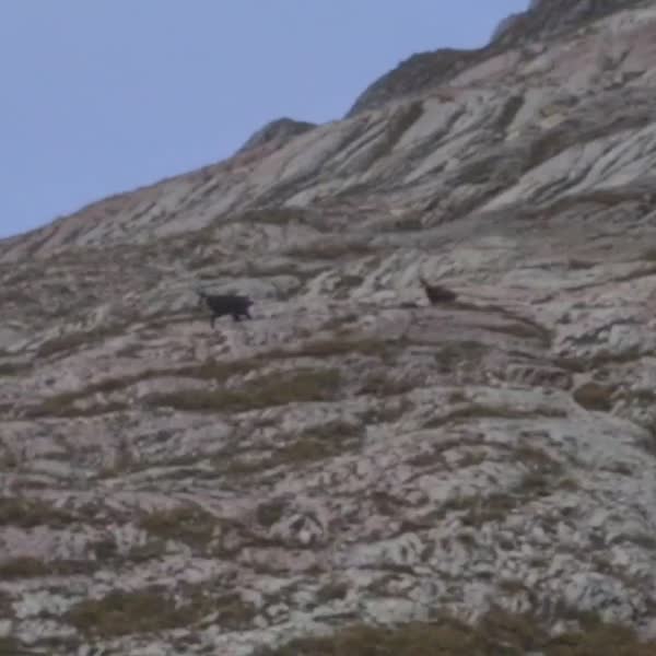 Dents de Savigny et de Ruth avec Raphaël et Stéphane