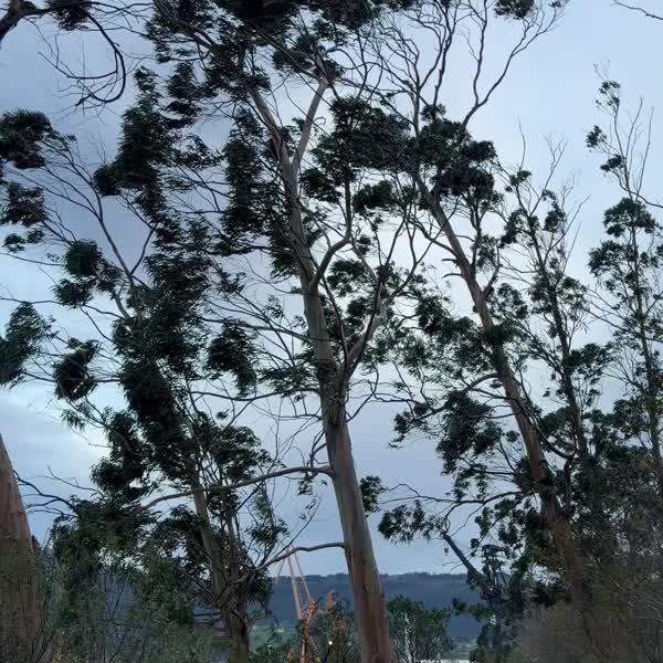 Puente de los Ingleses