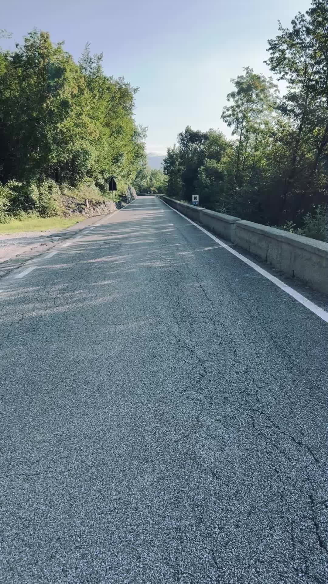  felicità 