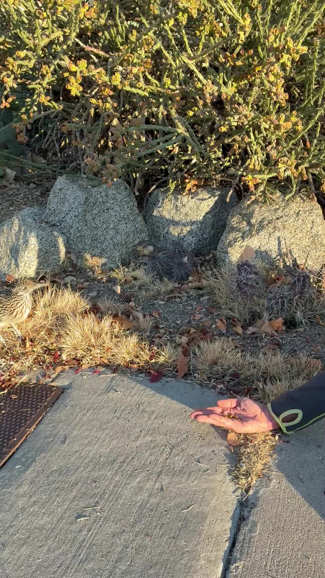 The light was good, but the position was bad