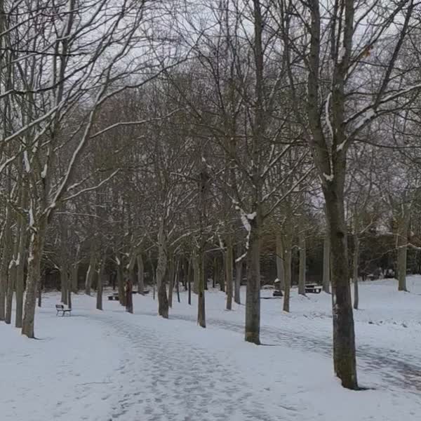 Mendiola por Olarizu