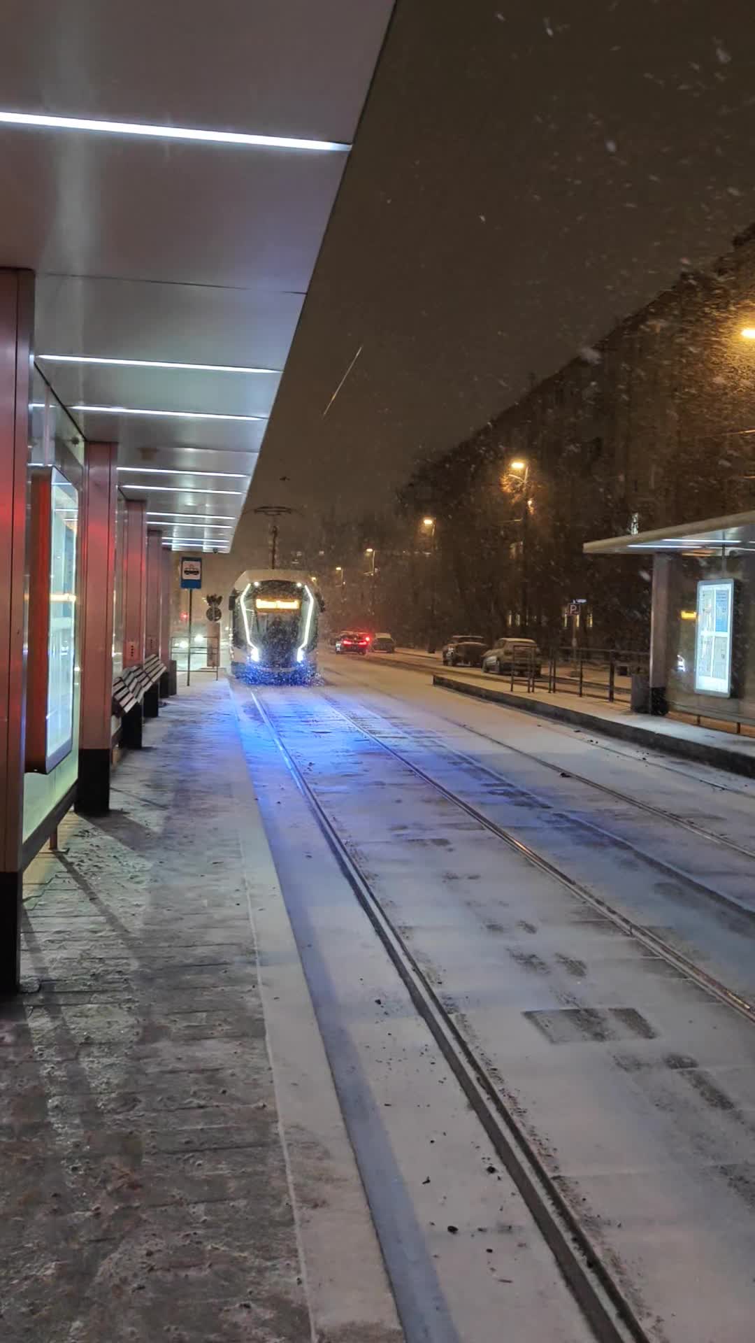 Посадка на остановке улица Лесная 