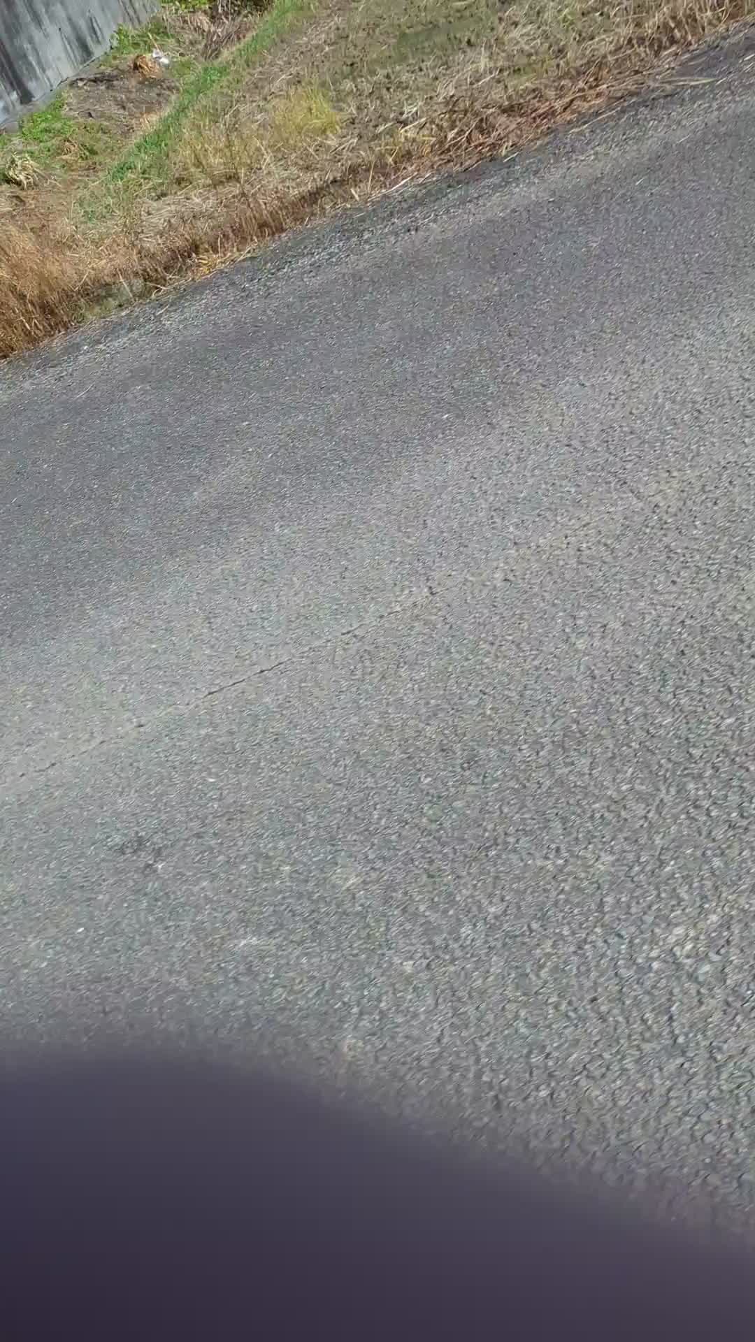 Last easy one before Sunday's HM