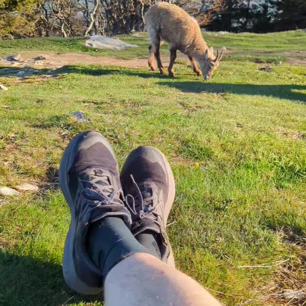 Creux du van, gorges de l’Areuse, retour par le dos d’âne
