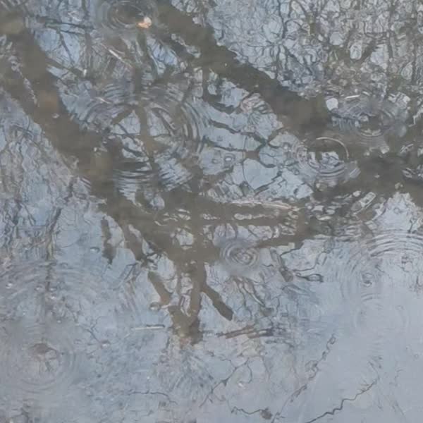 Armentia, Lasarte y Olarizu