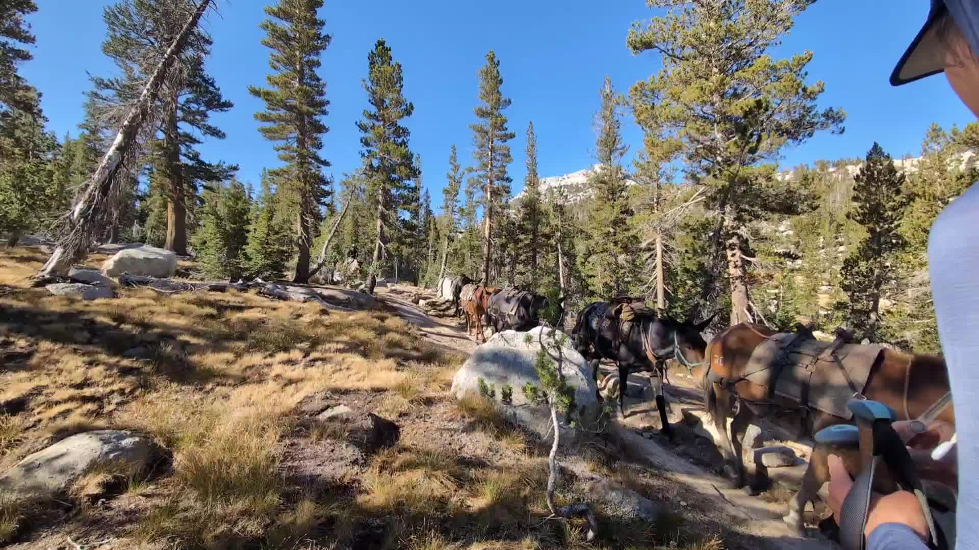 JMT - Day 14 photo 6