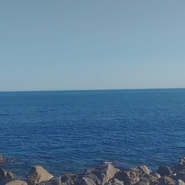 PASEO DE TARDE .