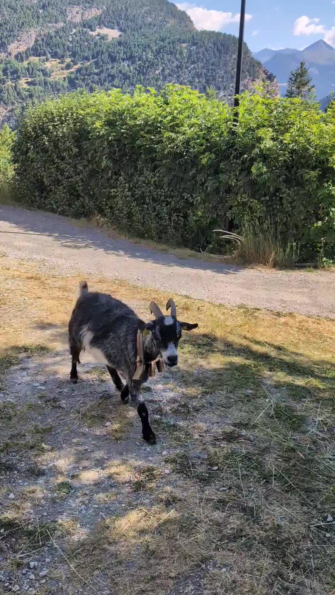 GR58 - Day 6 photo 4