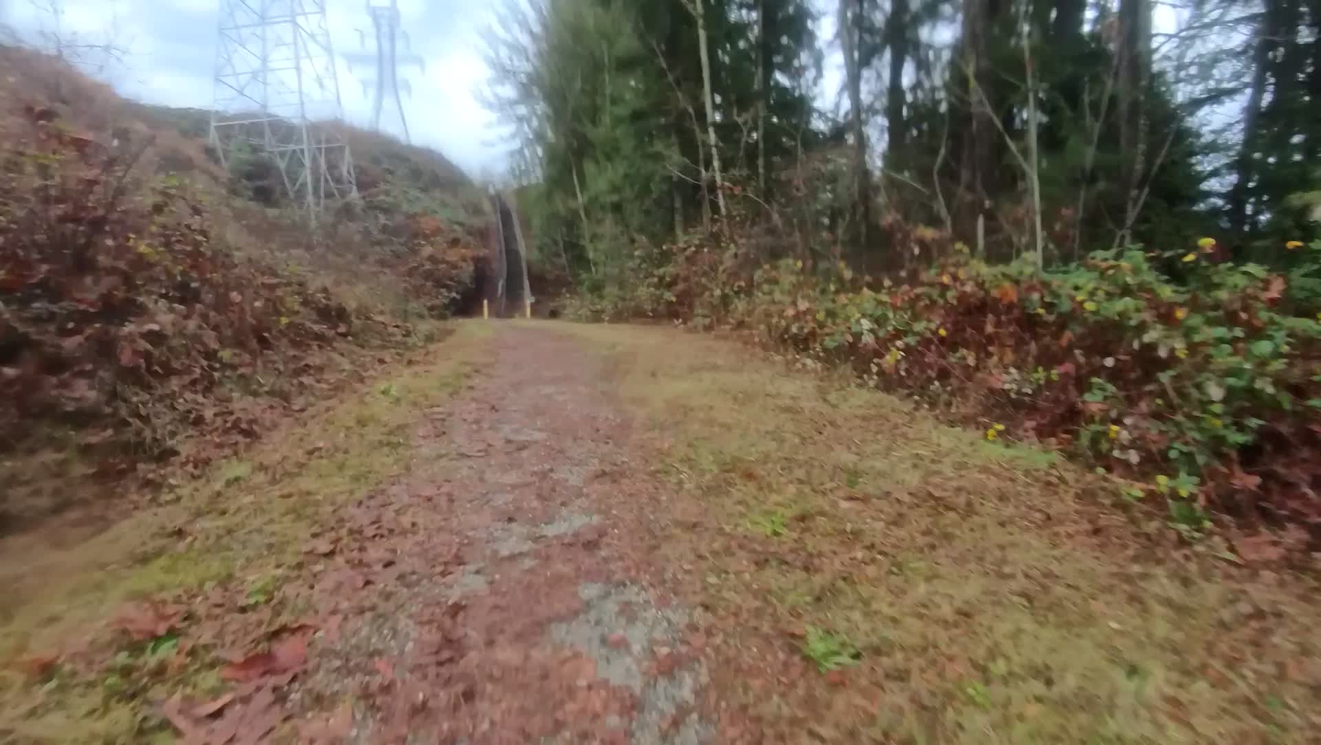 I tried a trail behind Capilano University, which took me to this hike-a-bike stairway with a ramp on the side.