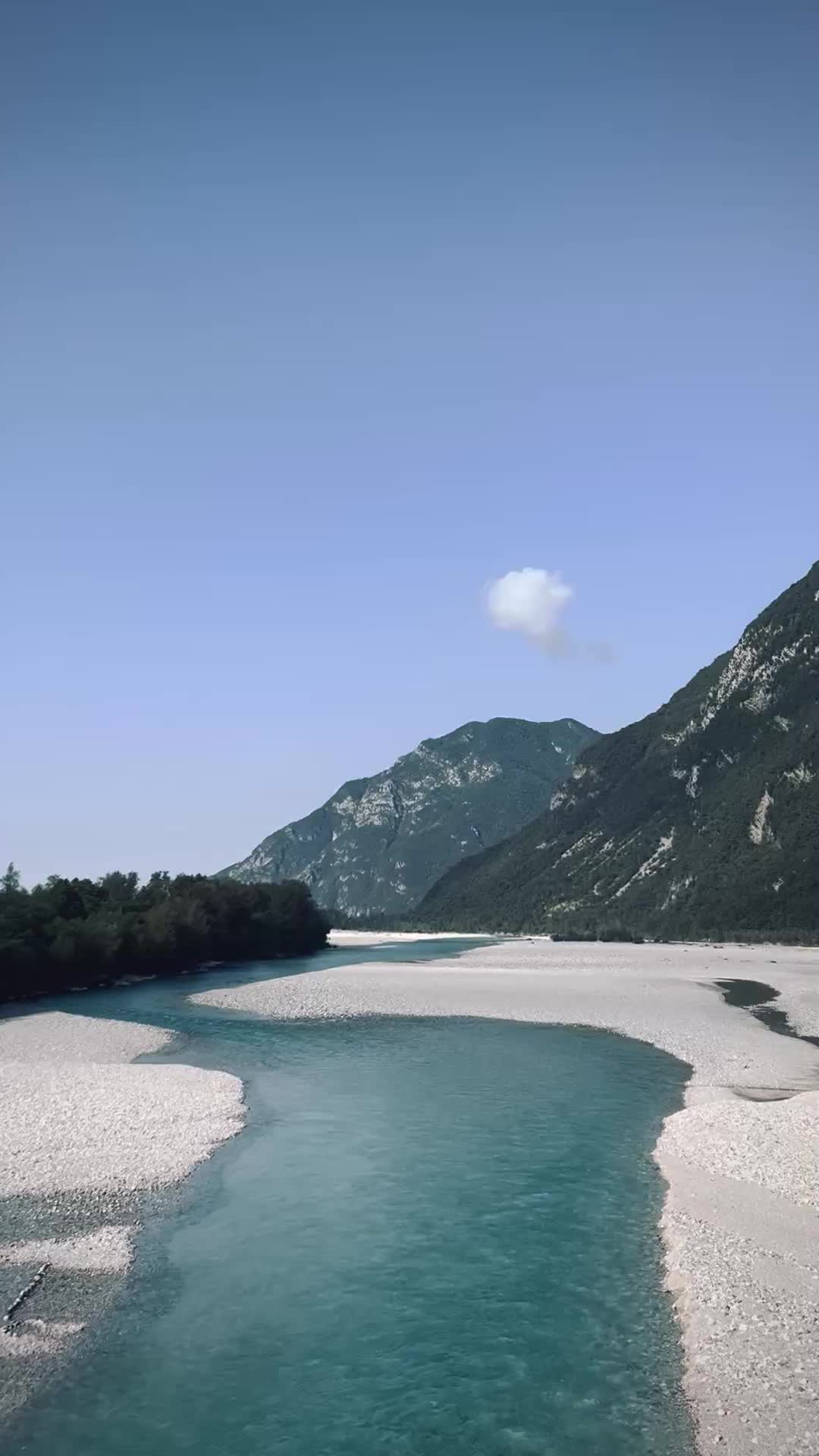  felicità 